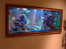 aquarium1 Franklin