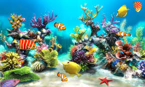 aquarium5 Harvey