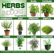 herbs3 Greenville