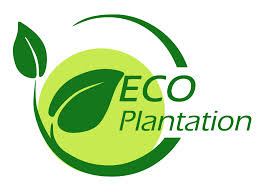 eco2 Clinton