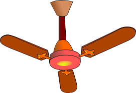 fan2 Vichadero