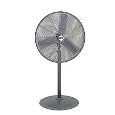 fan7 Fontana