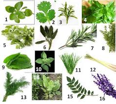 herbs1 The Settlement