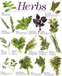 herbs2 The Settlement