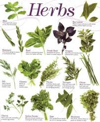 herbs