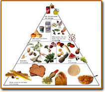 nutrients2 Sada De Sanguesa