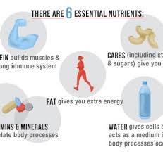 nutrients3 Limbiate