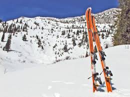 skis8 Princeton