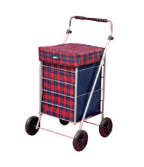 trolleys4 Ichinasaka 
