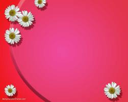 wedding9 الحد 